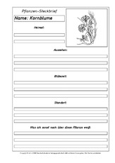 Pflanzensteckbriefvorlage-Kornblume-SW.pdf